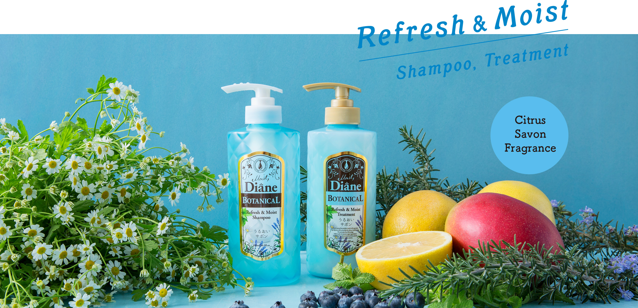 Refresh & Moist Shampoo, Treatment シトラスサボンの香り