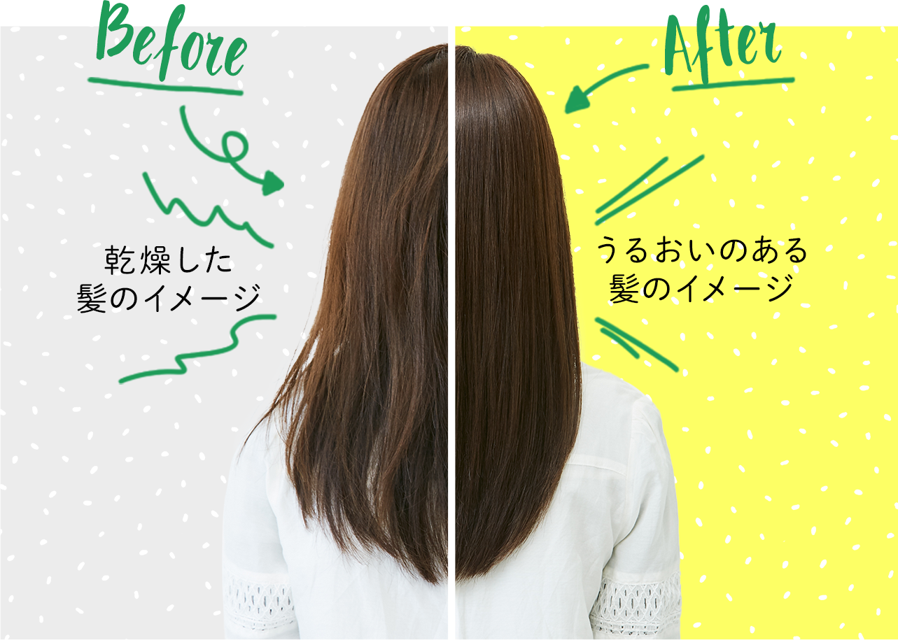 Before:乾燥した髪のイメージ After:うるおいのある髪のイメージ