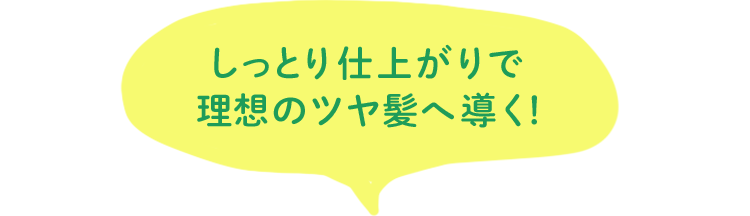 しっとり仕上がりで理想のツヤ髪へ導く！