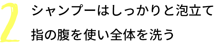 How to SHAMPOO: 2 シャンプーはしっかりと泡立て指の腹を使い全体を洗う