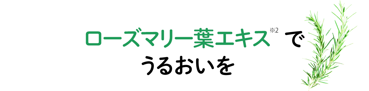 POINT3:ローズマリー葉エキス※2でうるおいを