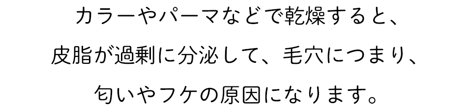  カラーやパーマなどで乾燥すると、皮脂が過剰に分泌して、毛穴につまり、匂いやフケの原因になります。