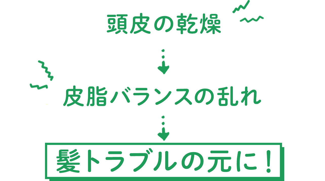 つまり... 頭皮の乾燥→皮脂バランスの乱れ→髪トラブルの元に！