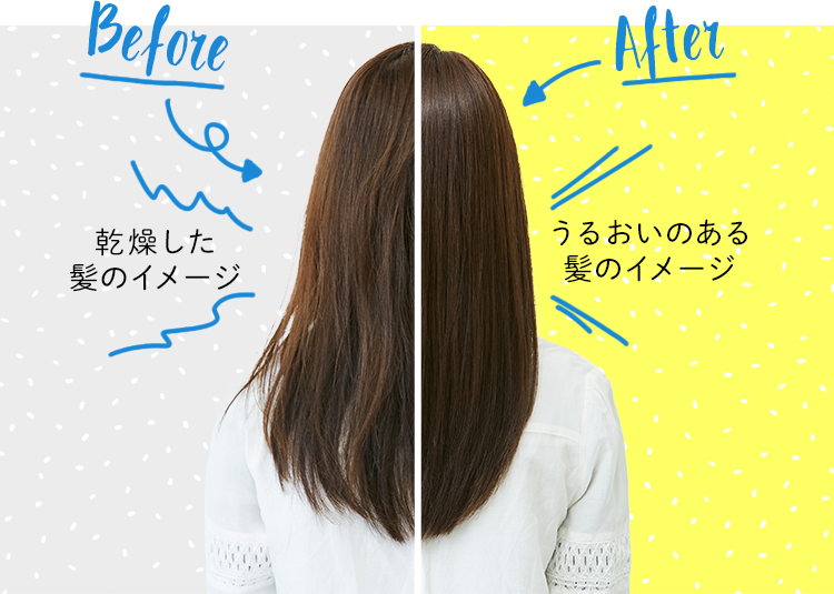 Before:乾燥した髪のイメージ After:うるおいのある髪のイメージ