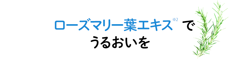 POINT3:ローズマリー葉エキス※2でうるおいを