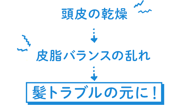 つまり... 頭皮の乾燥→皮脂バランスの乱れ→髪トラブルの元に！