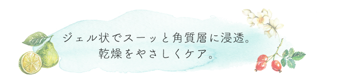 ジェル状でスーッと角質層に浸透。乾燥をやさしくケア。
