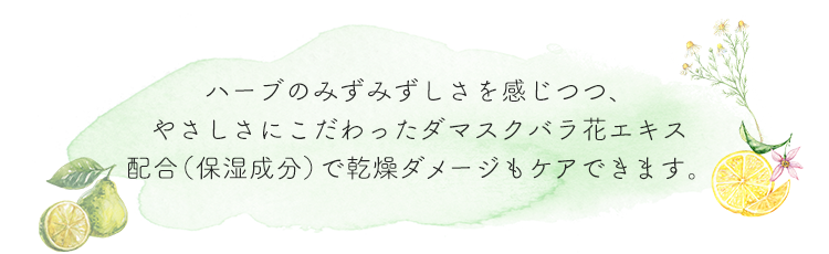 ハーブのみずみずしさを感じつつ、やさしさにこだわったダマスクバラ花エキス配合（保湿成分）で乾燥ダメージもケアできます。