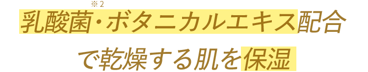 乳酸菌・ボタニカルエキス配合で乾燥する肌を保湿