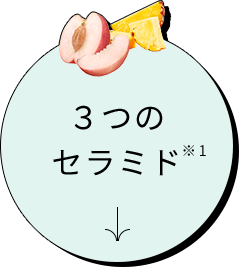 うるおい続くセラミド