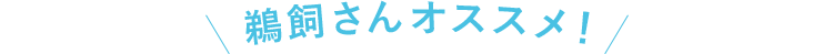鵜飼さんオススメ！
