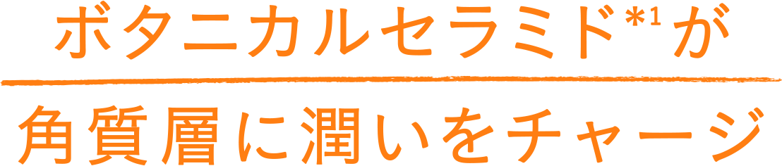 ボタニカルセラミドが角質層に潤いをチャージ