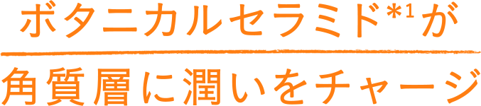 ボタニカルセラミドが角質層に潤いをチャージ