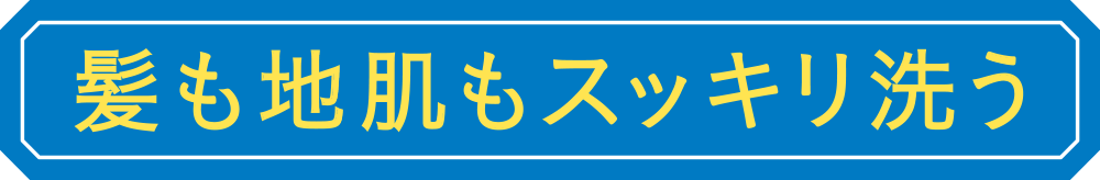 髪も地肌もスッキリ洗う