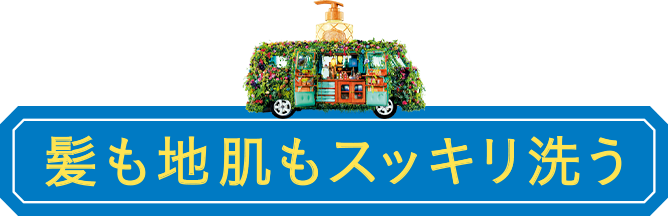 髪も地肌もスッキリ洗う